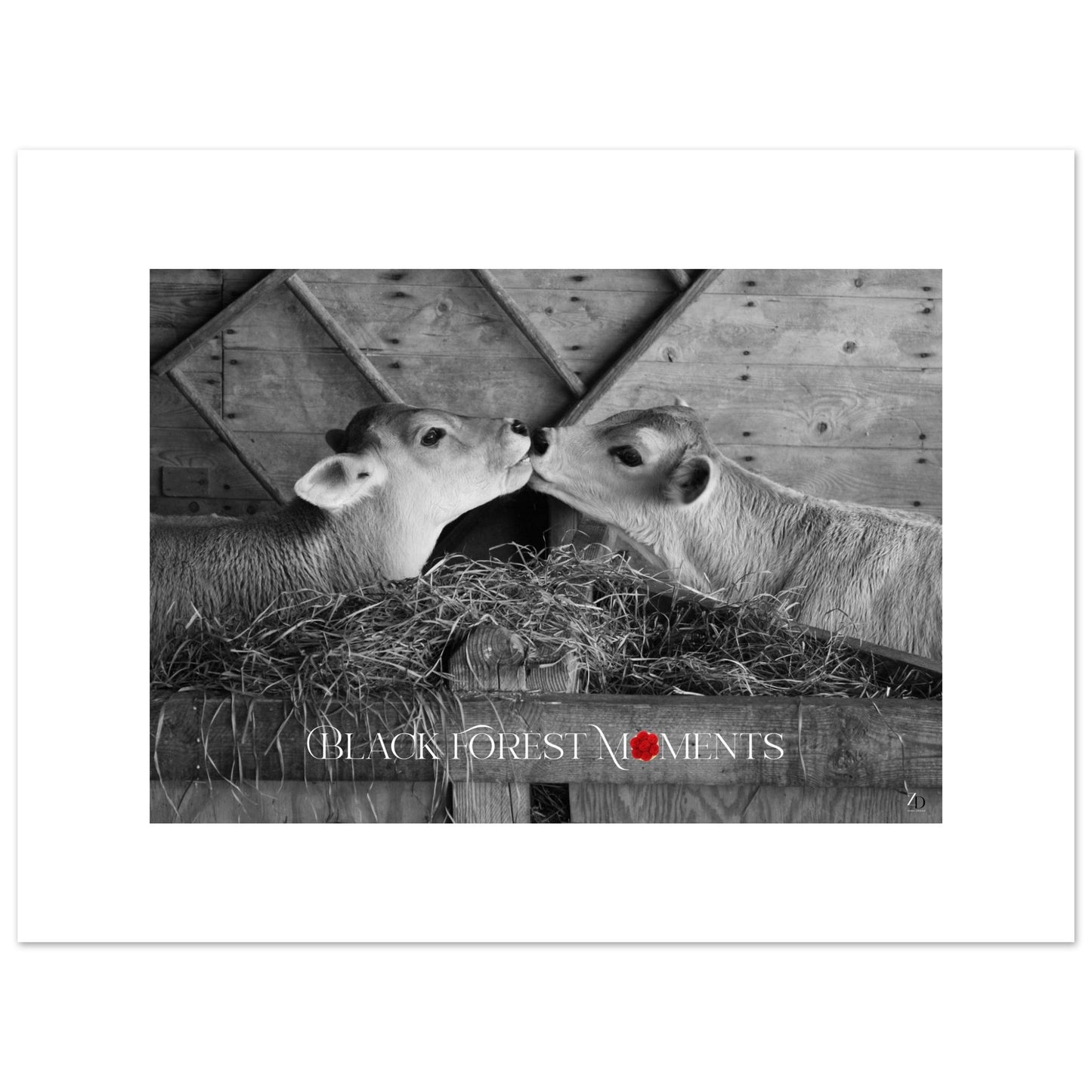 01c52566-92f5-4820-a237-d7522b5bb8e3