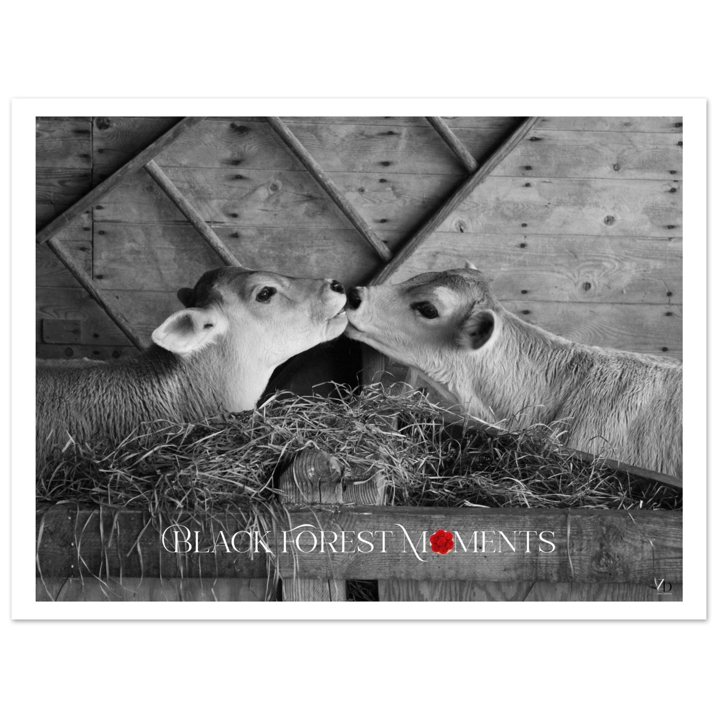 10542e1f-3f4e-491f-afb3-0fa4a121acc2