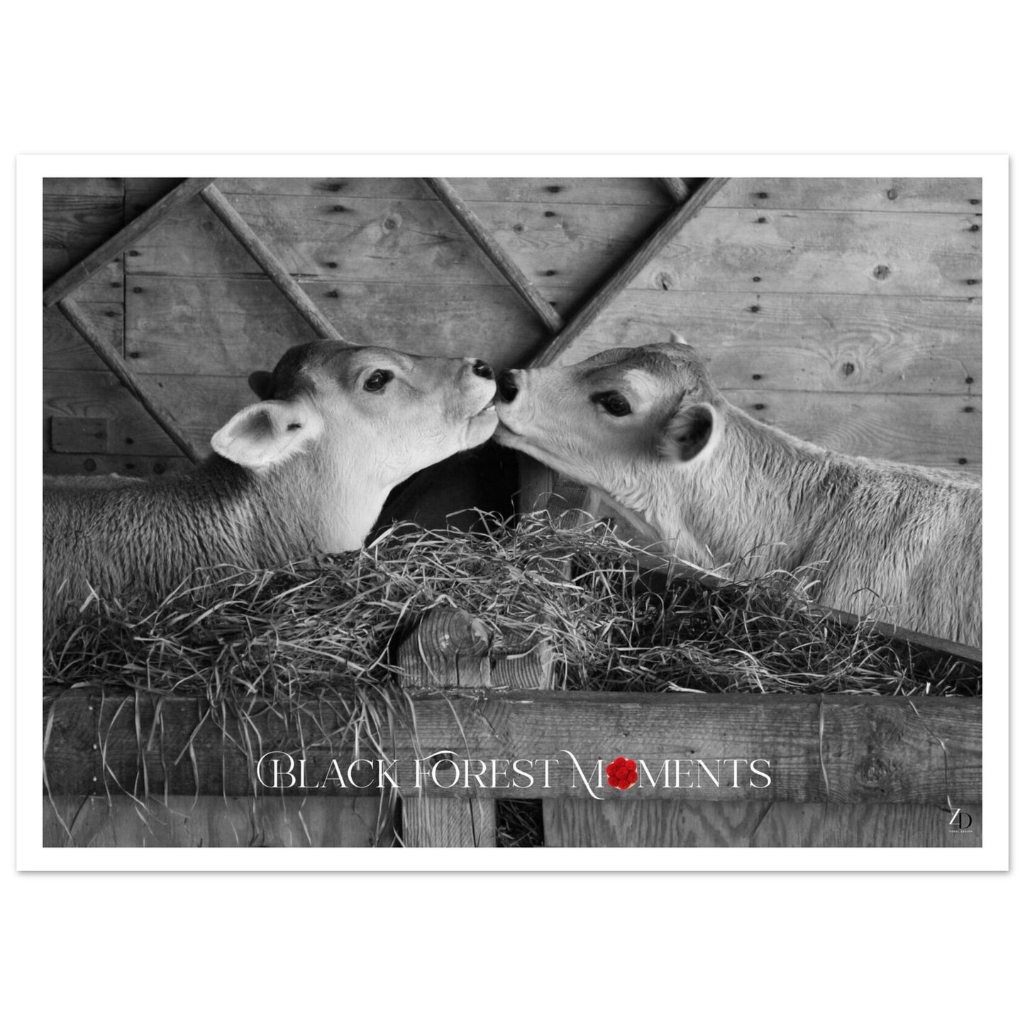 223aac92-1514-4a6c-a6ec-403ceb7c6fb7