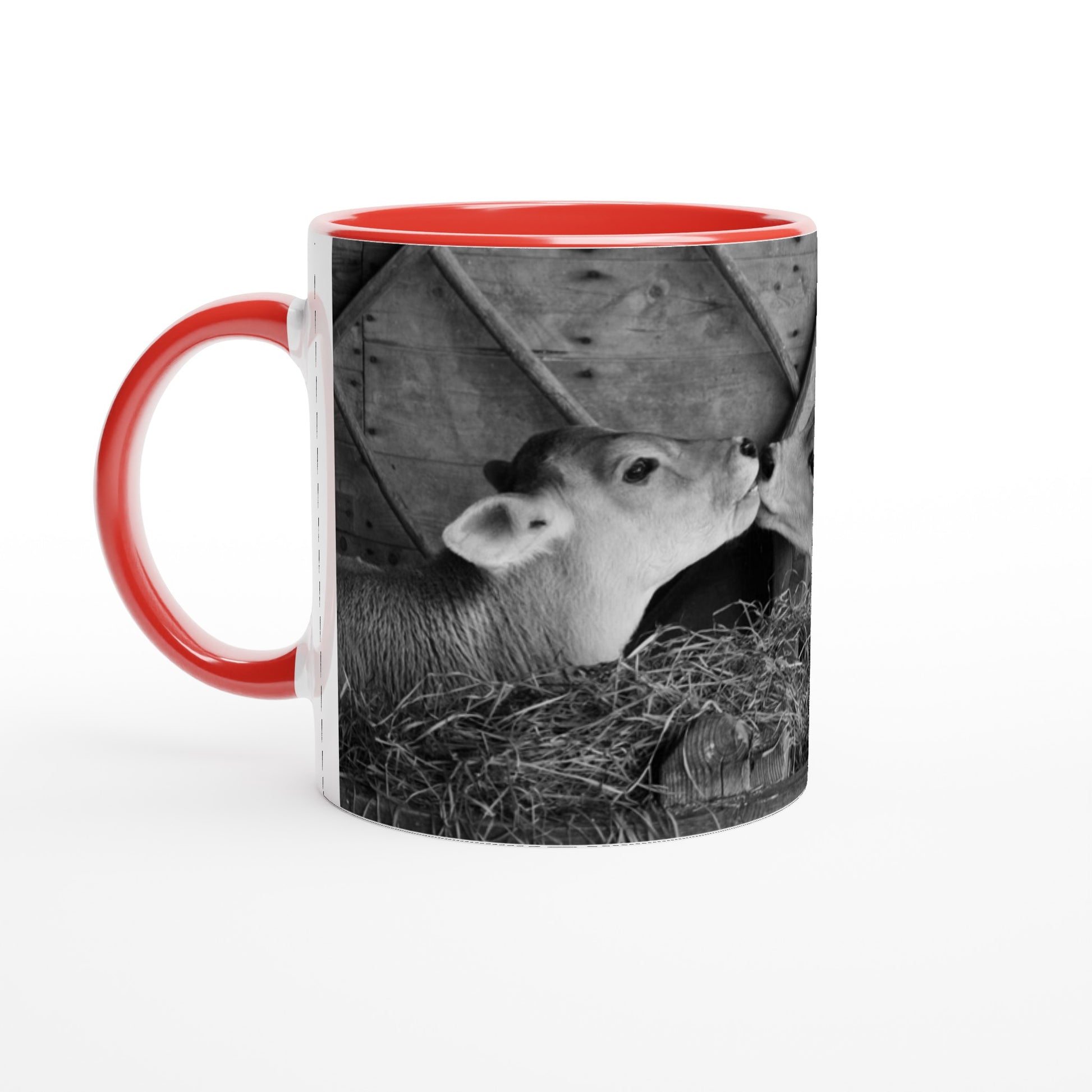 2ebdf2c1-dab3-4c69-8097-3785635c5645