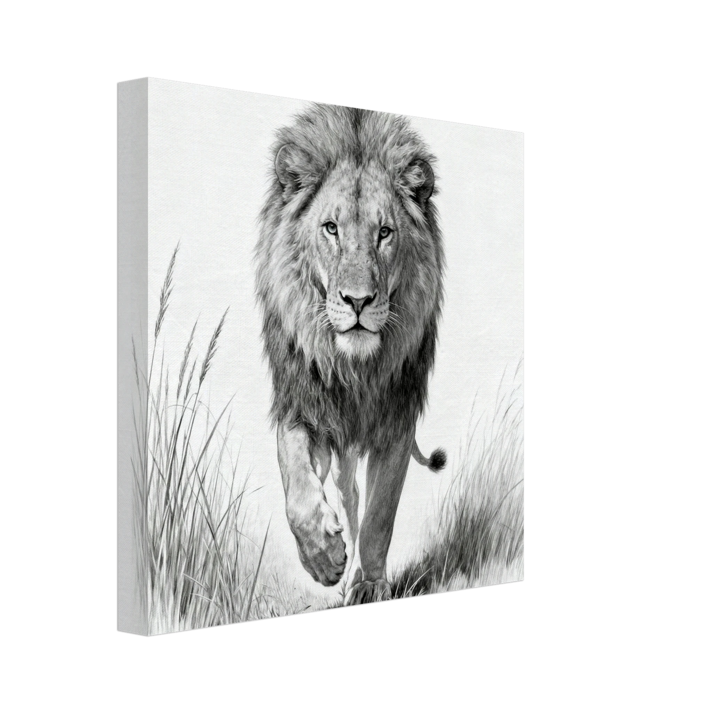 2ece21a6-4cc8-426b-986f-101ce38fb926