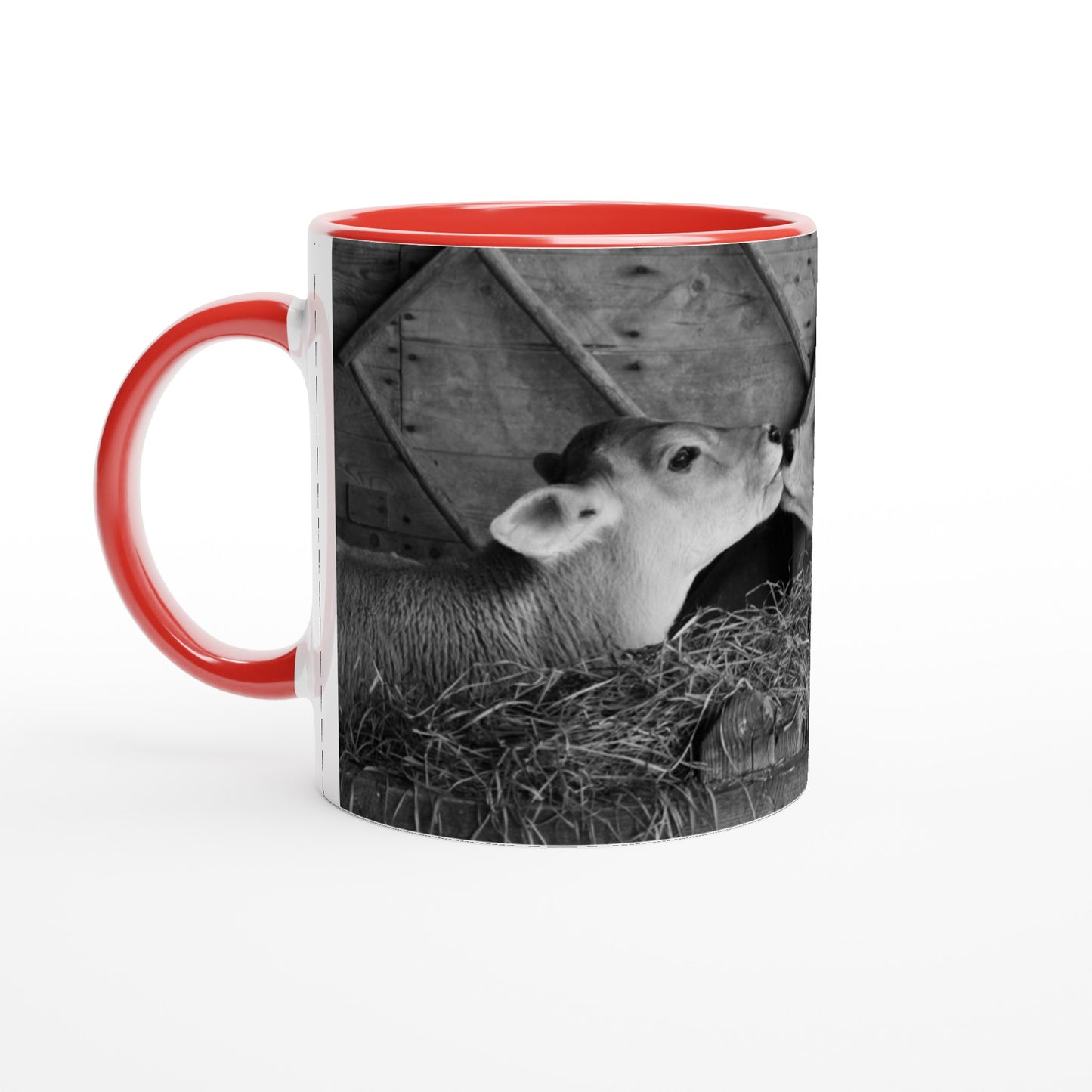 324e43ed-56b7-432a-8493-66075701429b