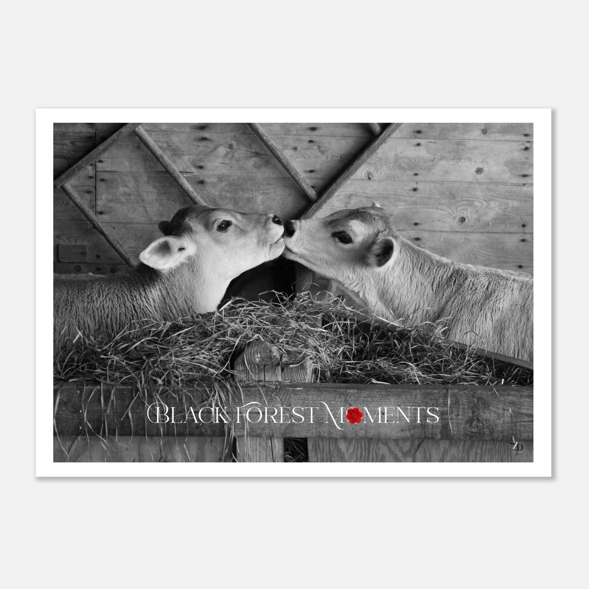 5434bc6f-f065-484e-a595-14167b617e3d