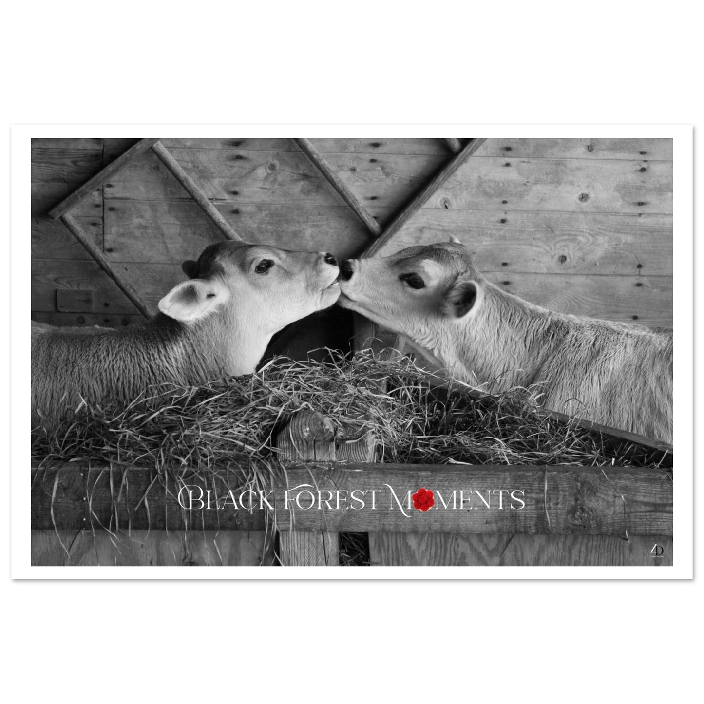 6bb80a12-e050-4fdf-b1a2-d440c3d7b800