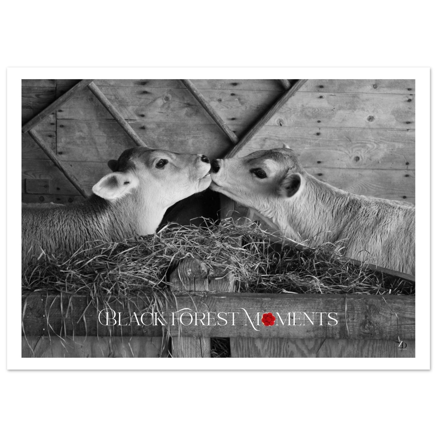 7307e4b8-3a44-42dc-a11c-0c82a09e2c1f