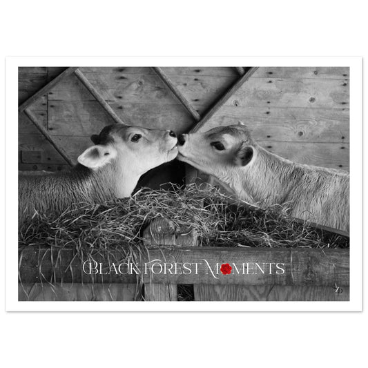 7307e4b8-3a44-42dc-a11c-0c82a09e2c1f