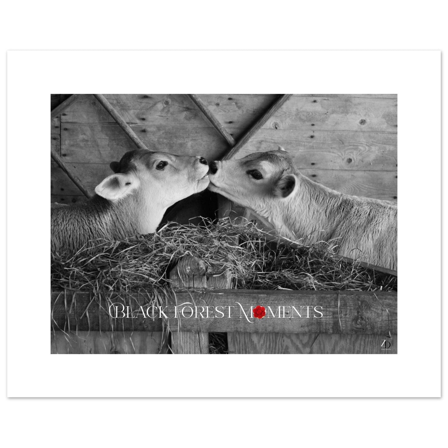 79732603-db6f-42eb-af87-3077ad099fa9