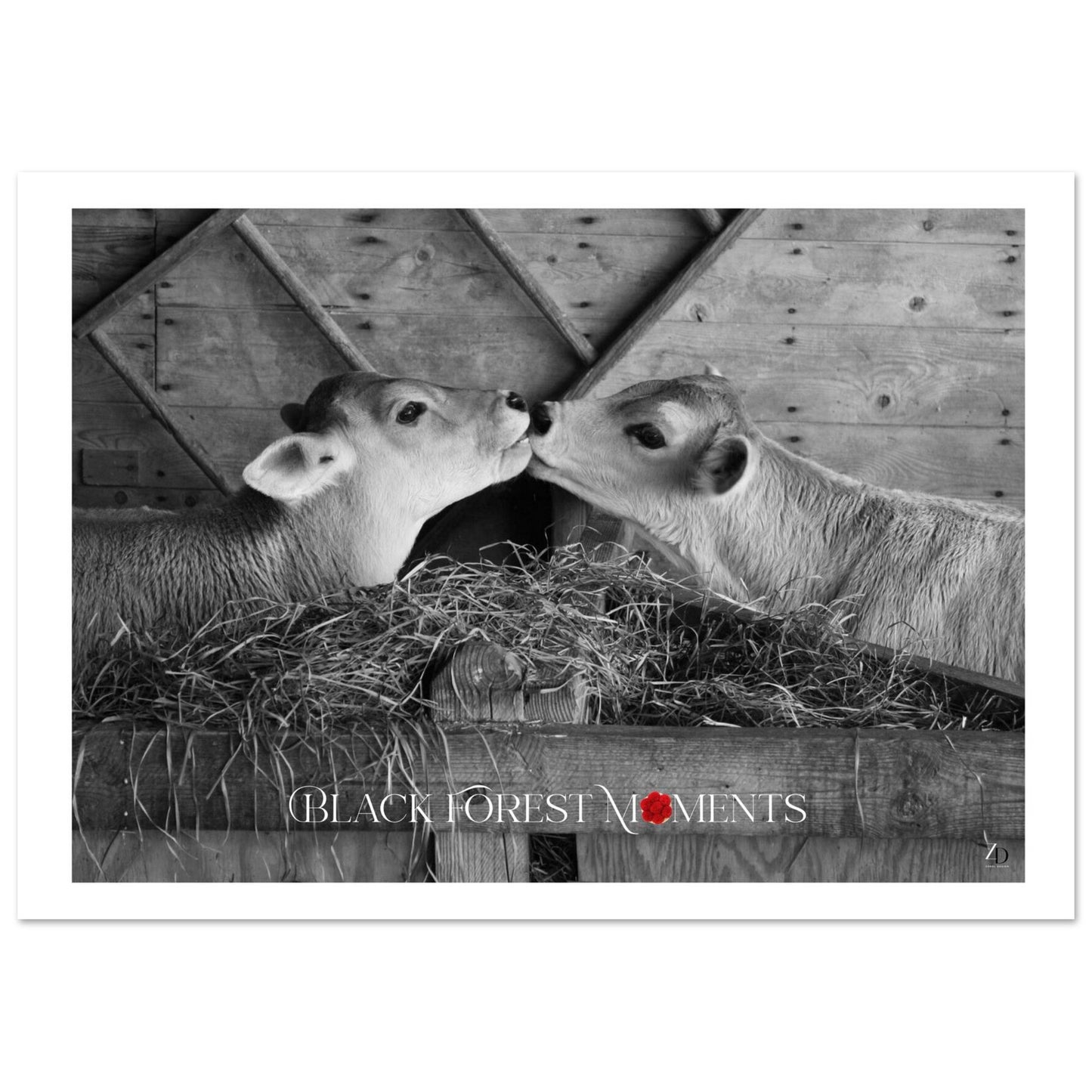 9693a9c1-2a35-48b4-b318-6a3548a15d24