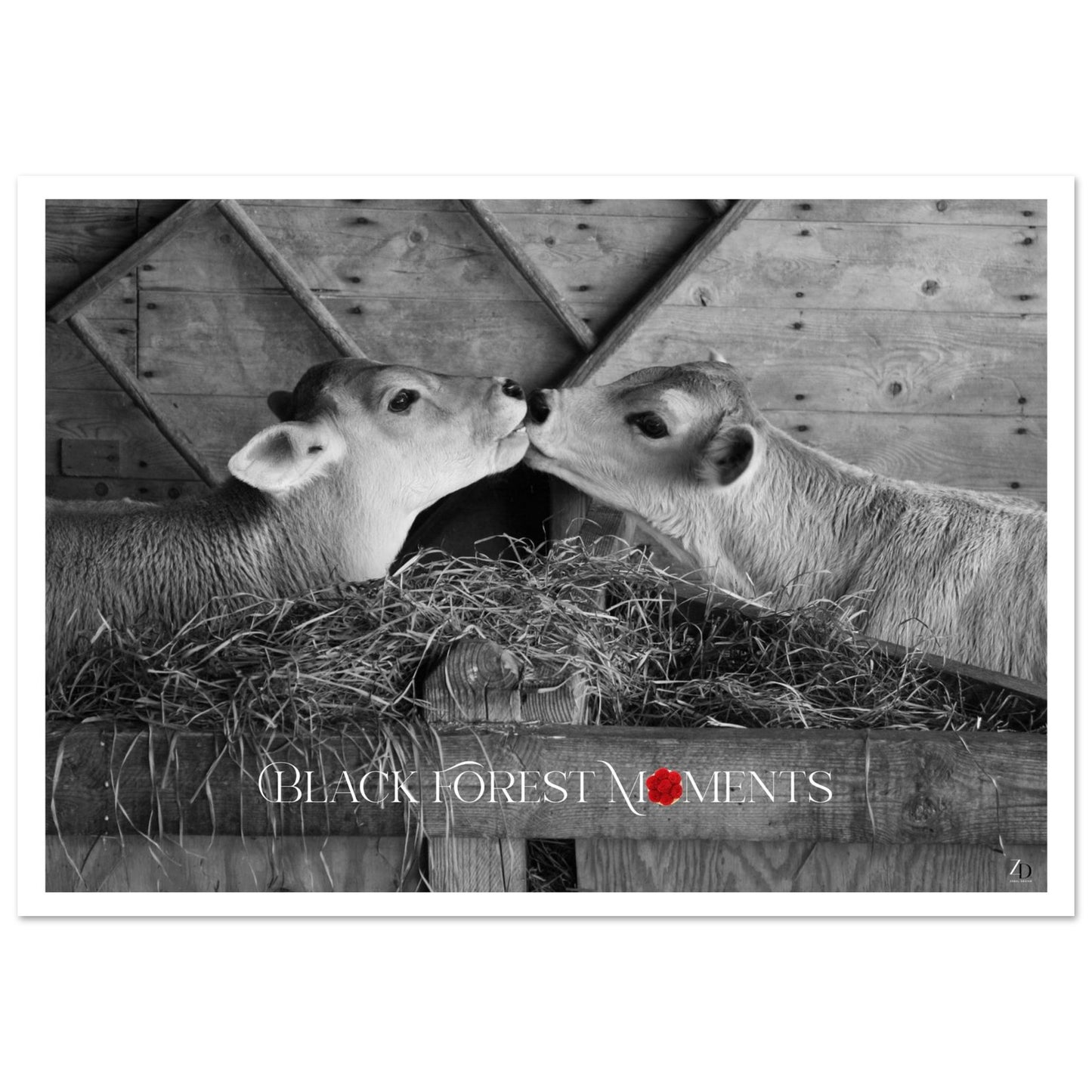 b91ccf01-bc87-4b4f-bfe2-794575be5bcd