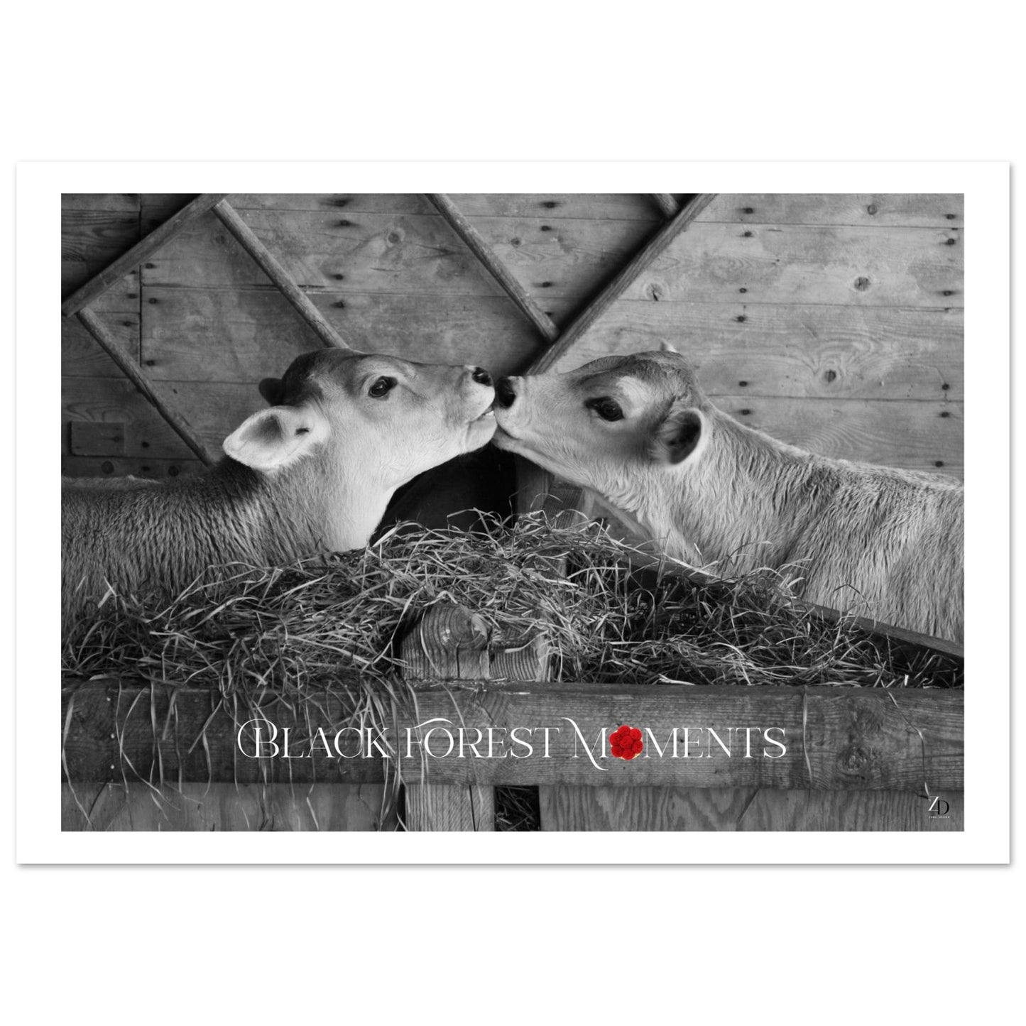 f8fad8d9-bba4-412e-98c4-a940bd38d1c7